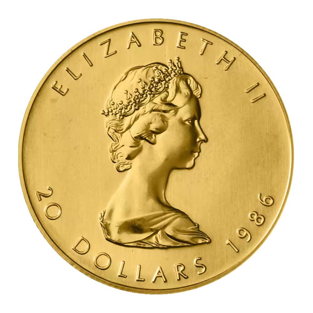 The Meadow Eschenau 1986-2013 tamiser購入 The Meadow Eschenau 1986