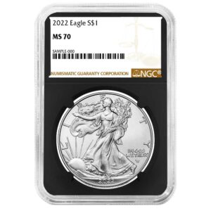 2022 $1 American Silver Eagle NGC MS70 Brown Label Retro Core