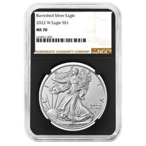 2022-W Burnished $1 American Silver Eagle NGC MS70 Brown Label Retro Core