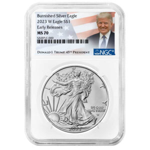 2023-W Burnished $1 American Silver Eagle