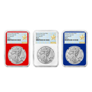 2023 (W) $1 American Silver Eagle 3pc Set NGC MS69 ER West Point Star Label Red White Blue