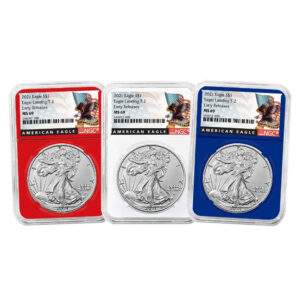 2021 $1 Type 2 American Silver Eagle 3pc Set NGC MS69 ER Black Label Red White Blue