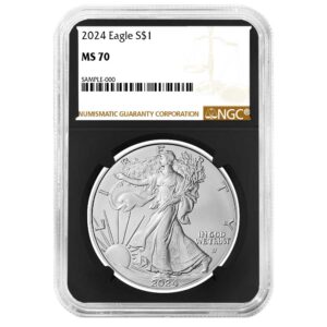 2024 $1 American Silver Eagle NGC MS70 Brown Label Retro Core