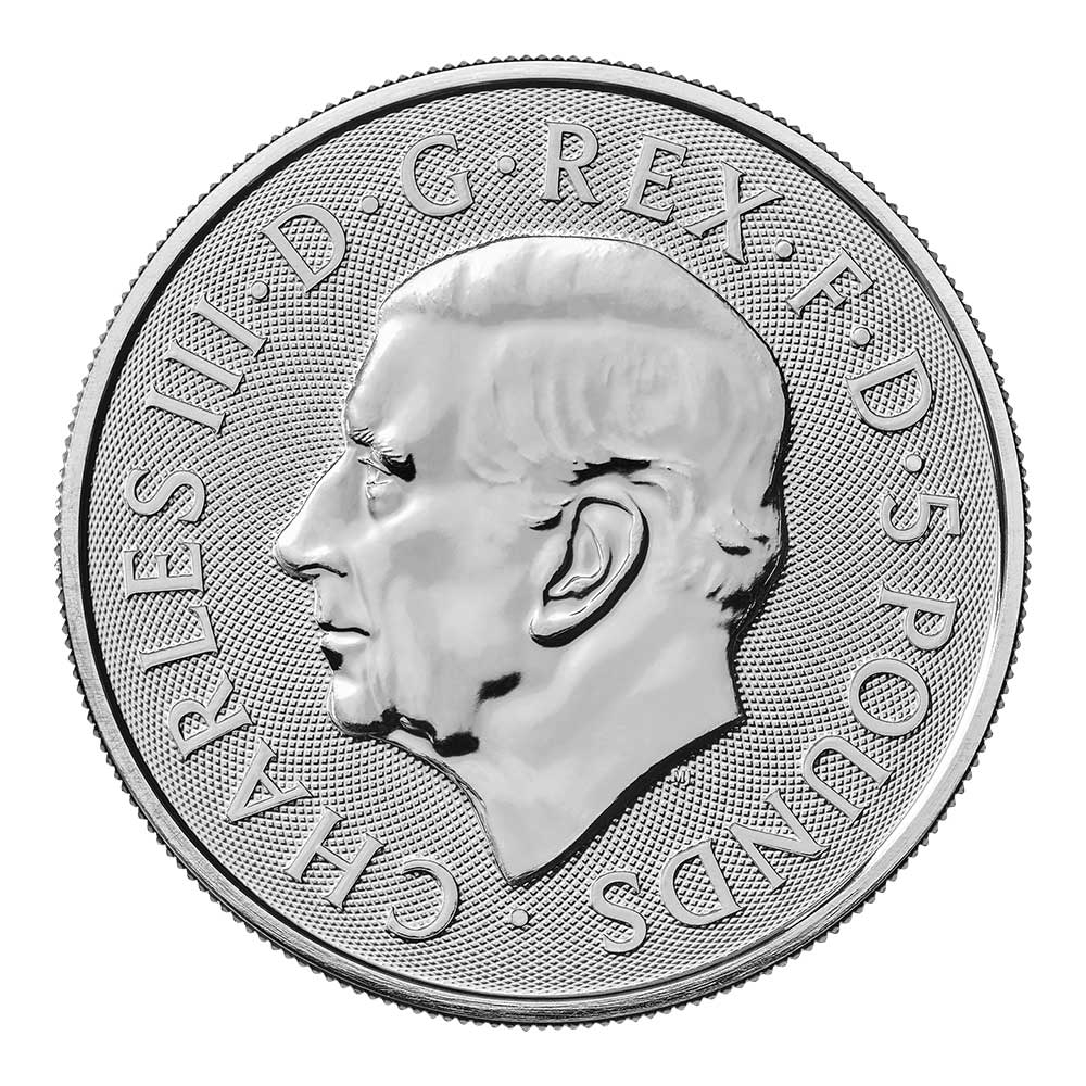 最終値下【レア】unicorn Terry Jenkins 2BA ノーグルーブ 最終値下