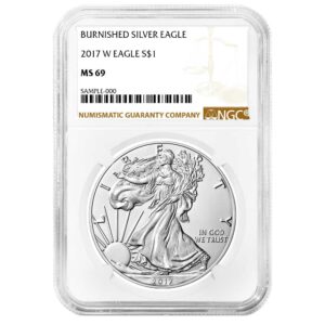 2017-W Burnished $1 American Silver Eagle NGC MS69 Brown Label