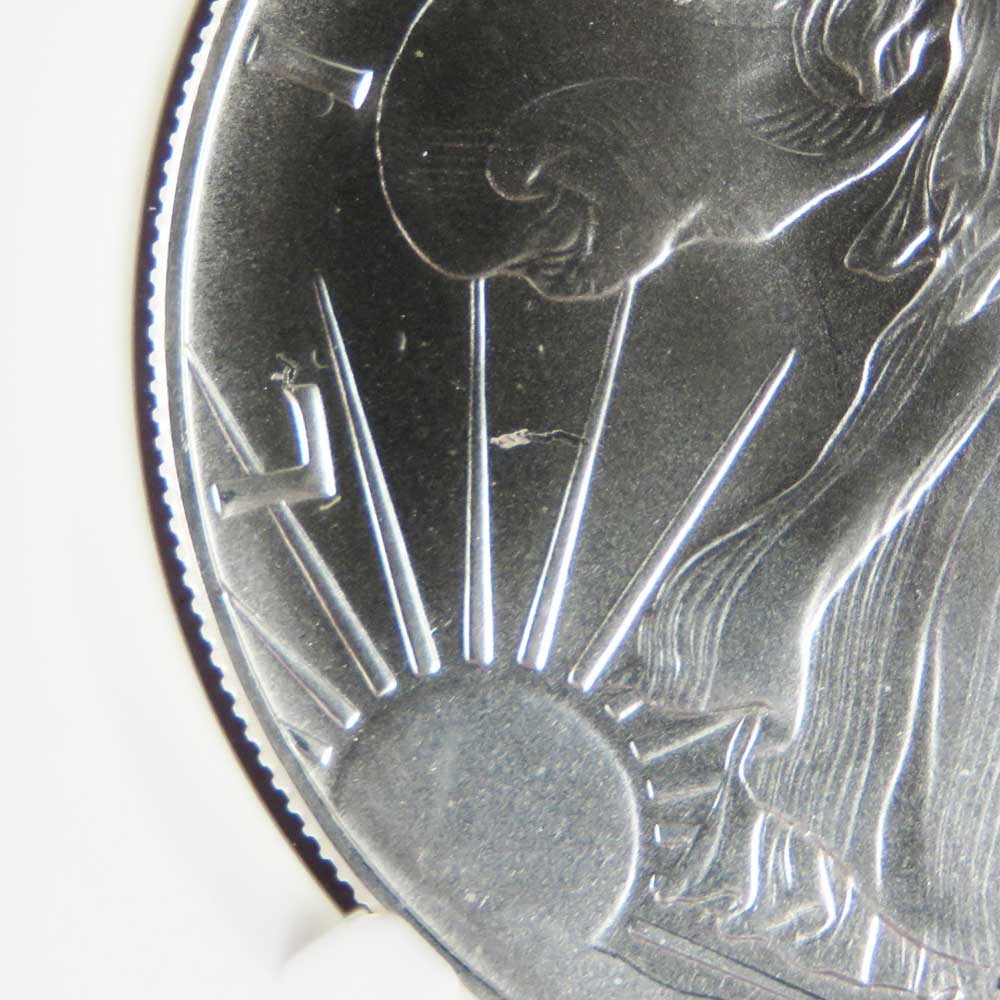 1991 $1 American Silver Eagle NGC MS69 Mint Error Obverse Struck