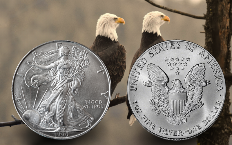 Front and back of an American Silver Eagle minted in 1996 with a picture in the background of two bald eagles perched on a limb