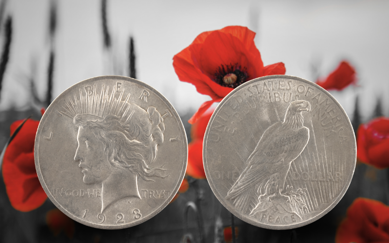 Front and back of a peace Silver Dollar minted in 1923 over a background image of a field of red poppies